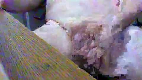 Gary online show from 02/02/25, 03:39