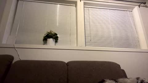 scandixxxs Cam online show from 10/20/25, 01:06