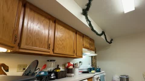 Snapshot of gucciboi4 chatting on 11/23/25, 07:35 gucciboi4 online show from 11/23/25, 07:35