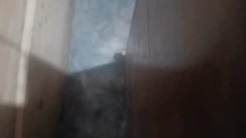 guidogomezcag online show from 07/26/26, 05:48
