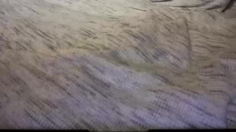 gumbywanna online show from 02/08/25, 05:08