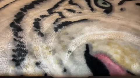 gumbywanna online show from 03/02/26, 06:58