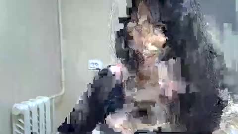 GusumAh online show from 02/22/25, 10:09