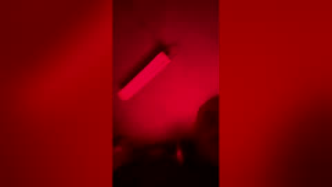 gypsynova777 online show from 04/14/26, 10:43