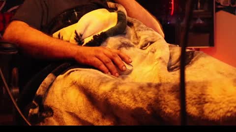 h0tttsteel online show from 12/18/24, 10:08