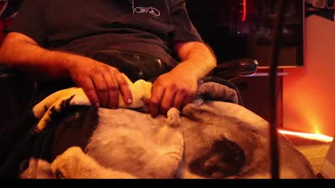 h0tttsteel online show from 12/18/24, 01:12