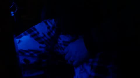 Snapshot of h2omygod chatting on 01/25/25, 09:26 H2omygod online show from 01/25/25, 09:26