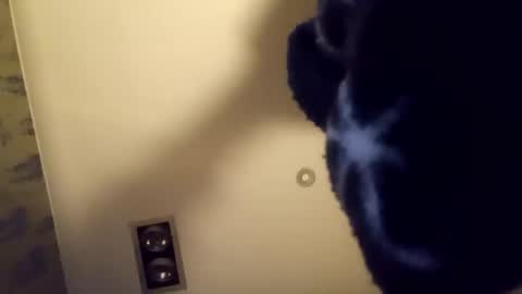 h_rd333 online show from 09/17/25, 09:38