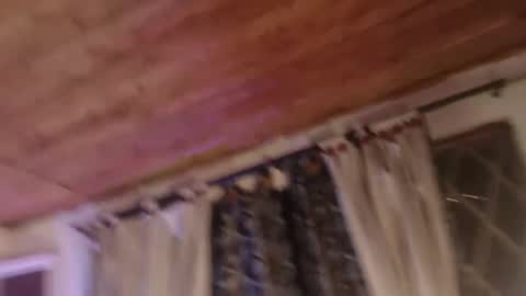 HADEZ online show from 03/08/26, 02:04