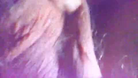 hagridthehorrible online show from 12/05/25, 11:30