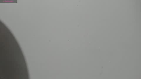 Hailey online show from 03/04/26, 10:16