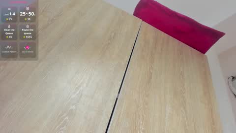 Snapshot of haileystonei chatting on 11/17/25, 11:27 haileystonei online show from 11/17/25, 11:27