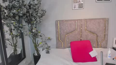 Snapshot of haileystonei chatting on 11/21/25, 11:31 haileystonei online show from 11/21/25, 11:31