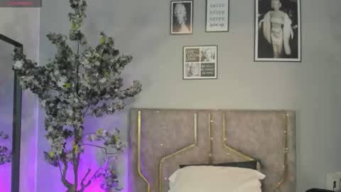 Snapshot of haileystonei chatting on 12/05/25, 11:30 haileystonei online show from 12/05/25, 11:30