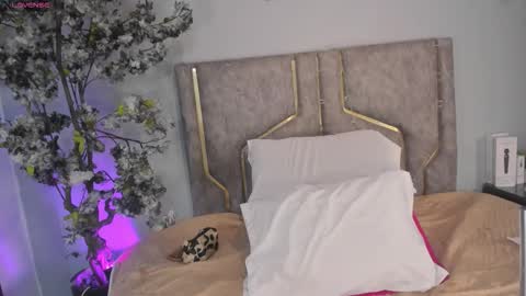 Snapshot of haileystonei chatting on 12/16/25, 11:59 haileystonei online show from 12/16/25, 11:59