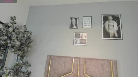 Snapshot of haileystonei chatting on 01/09/26, 11:02 haileystonei online show from 01/09/26, 11:02