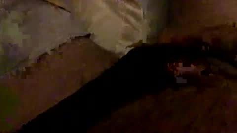 Bruce online show from 01/10/26, 03:30