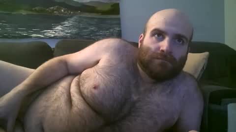 Hairiest Bear online show from 01/20/25, 03:59