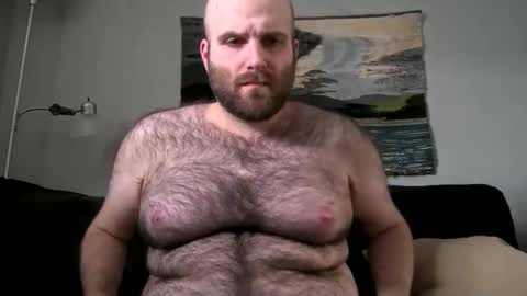 Hairiest Bear online show from 02/17/25, 07:42