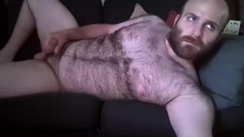 Hairiest Bear online show from 06/09/26, 07:36