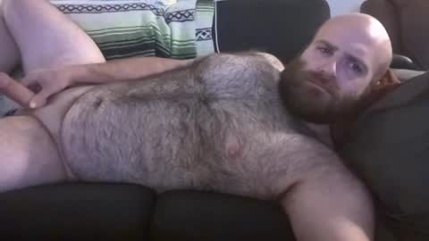 Hairiest Bear online show from 06/27/26, 08:30