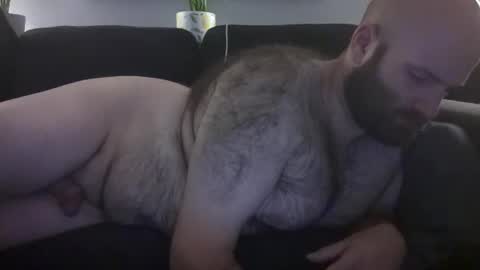 Hairiest Bear online show from 07/08/26, 07:02