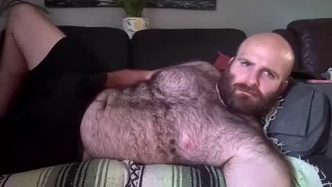 Hairiest Bear online show from 07/31/26, 08:30