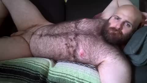 Hairiest Bear online show from 08/01/26, 08:08