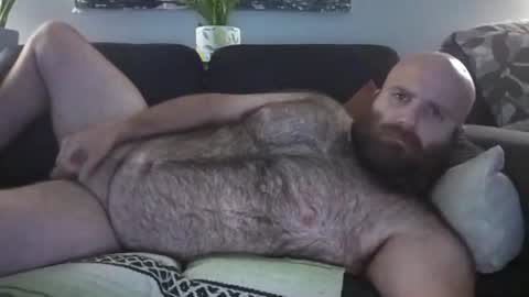 Hairiest Bear online show from 08/02/26, 09:08