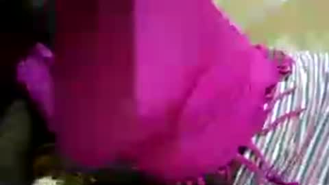 Snapshot of hairy_africanbae chatting on 07/12/26, 10:01 hairy_africanbae online show from 07/12/26, 10:01