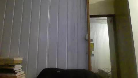 Snapshot of hairy_man_69_ chatting on 01/03/25, 10:40 horny online show from 01/03/25, 10:40