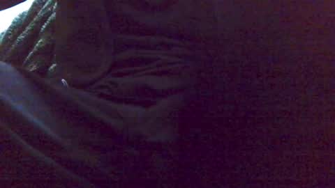 HairyHornyTwinkk online show from 11/15/25, 07:21