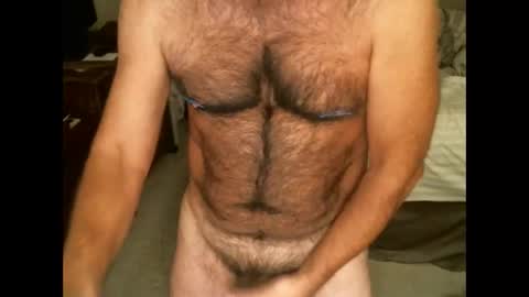 Hairy pecs online show from 11/20/25, 08:47