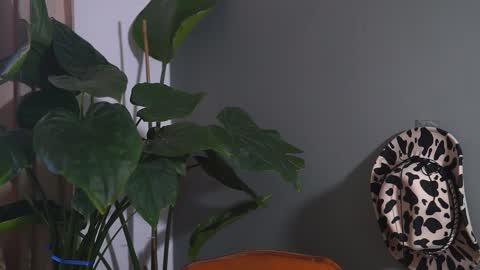 Snapshot of hairyrobxxx chatting on 09/20/25, 10:05 HairyRobXxX online show from 09/20/25, 10:05