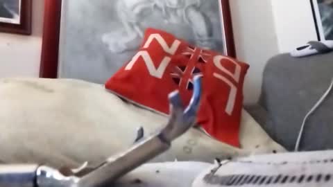 Marty online show from 02/22/26, 09:24