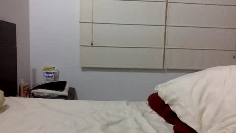 Snapshot of hairyweedman chatting on 01/04/25, 04:55 NN420 online show from 01/04/25, 04:55