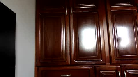 Snapshot of hairyweedman chatting on 01/04/25, 07:44 NN420 online show from 01/04/25, 07:44