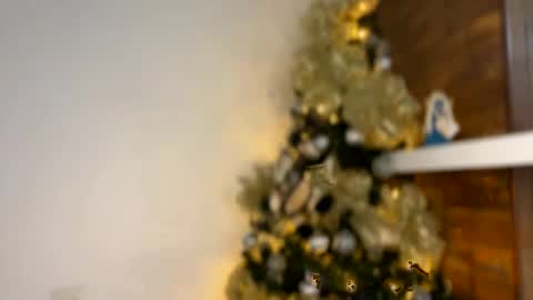 Independent       model  online show from 12/30/24, 02:42