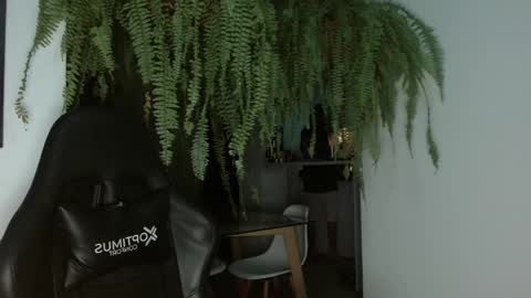 Snapshot of halan_jr chatting on 02/26/25, 06:47 halan online show from 02/26/25, 06:47