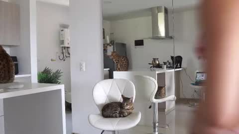 insta Laupalacio777Next stream 01th December online show from 02/23/25, 06:12