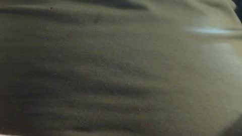 Snapshot of hamhead71 chatting on 01/23/25, 12:52 hamhead71 online show from 01/23/25, 12:52