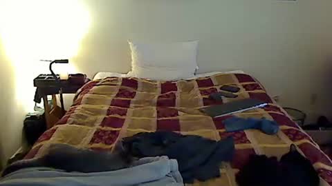 hammerthatthang73 online show from 11/06/25, 06:42