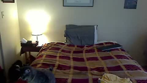 hammerthatthang73 online show from 03/20/26, 10:14