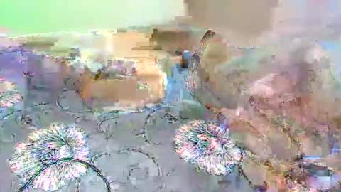 handdickcock99 online show from 04/08/26, 09:20