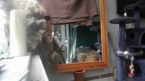 Snapshot of handncocknocum chatting on 12/09/24, 08:44 handncocknocum online show from 12/09/24, 08:44