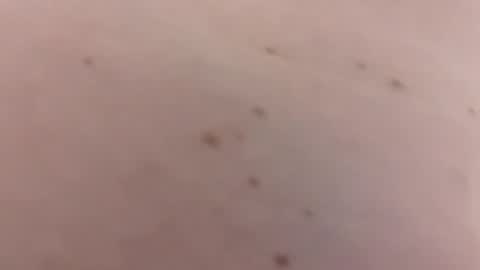 Snapshot of handsomerob42 chatting on 01/18/26, 06:23 handsomerob42 online show from 01/18/26, 06:23