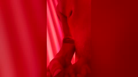 handsomerob42 online show from 04/06/26, 06:47