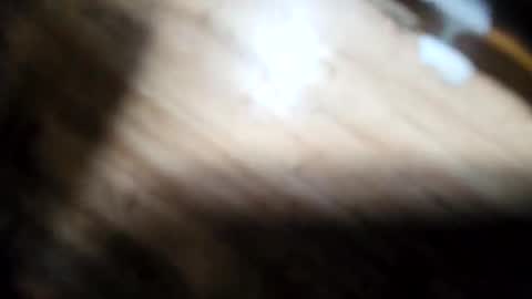 handymanglen online show from 02/13/26, 11:01
