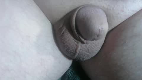 Handyman online show from 01/10/26, 02:19