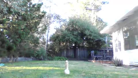 Snapshot of handysmurf chatting on 12/04/24, 11:24 HandySmurf online show from 12/04/24, 11:24